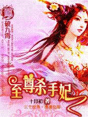 至尊杀手妃凤破九霄