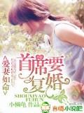爱妻如命,首席要复婚