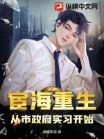 宦海重生:从市政府实习开始